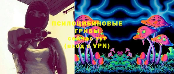 мдпв Беломорск