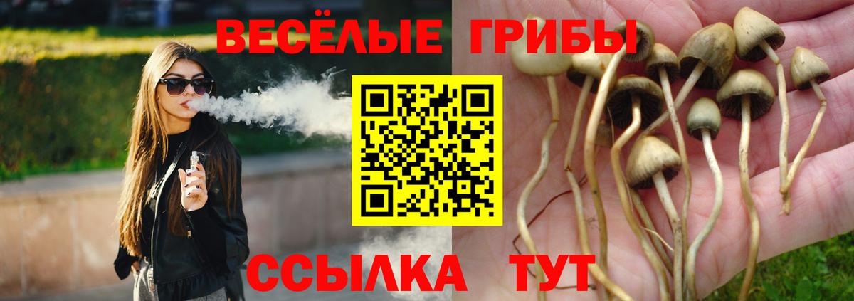 закладка  Галлюциногенные грибы MAGIC MUSHROOMS  Вход с VPN  Верхняя Пышма  Галлюциногенные грибы GOLDEN TEACHER 